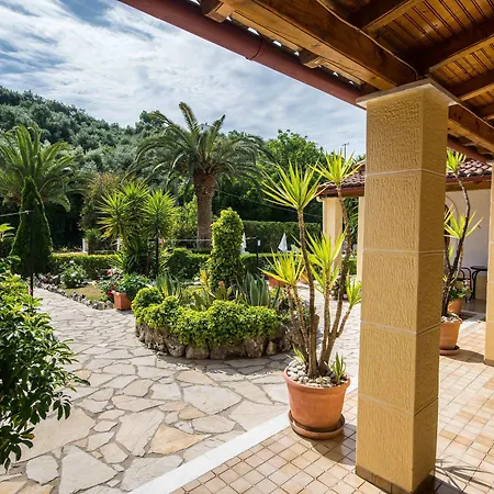 Violetta 2* アカラヴィ